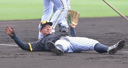 　試合前、ノックを受け、グラウンドに倒れ込む佐藤輝（撮影・高部洋祐）