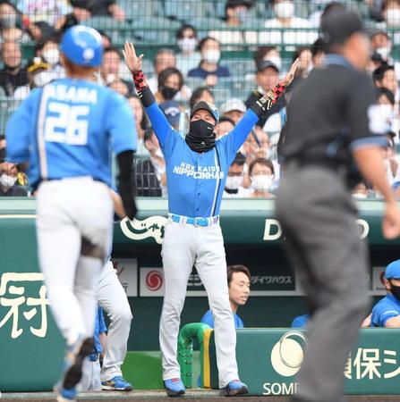 　１回、わずか４球で先制し、ベンチから飛び出してバンザイする新庄監督（撮影・田中太一）