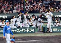 　４回、大山はソロを放ちナインに迎えられる（撮影・山口登）