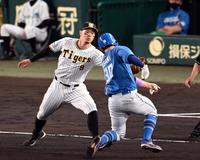 　６回、佐藤輝は内野ゴロで三塁を狙う宇佐見をアウトにする（撮影・山口登）