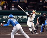 　６回、糸原は右前に適時打を放つ（投手・上沢）＝撮影・山口登