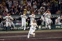 　８回、山本の適時打に盛り上がる阪神ナイン（撮影・山口登）