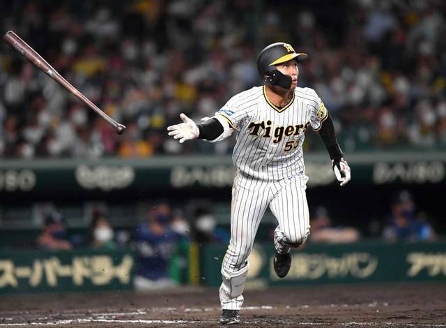 元阪神タイガース 森田一成選手 実用バット 楽天市場】【ふるさと納税】軟式木製バット YRB-555 ブラッド
