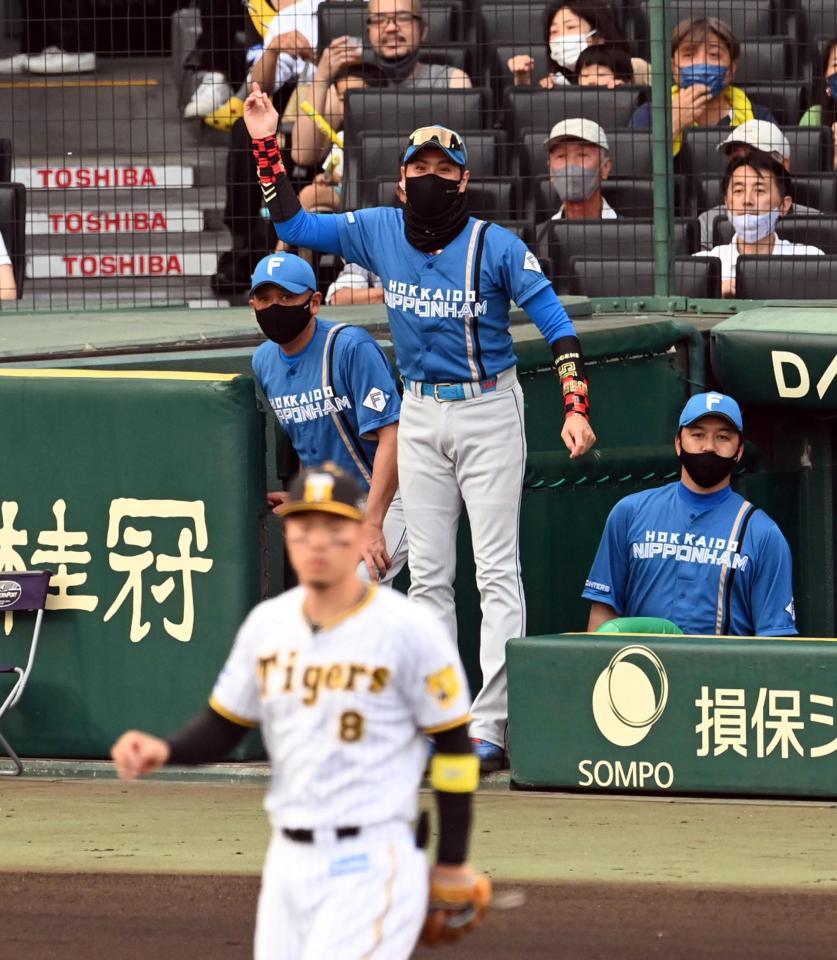 　１回、先制点に喜ぶ新庄監督（撮影・山口登）