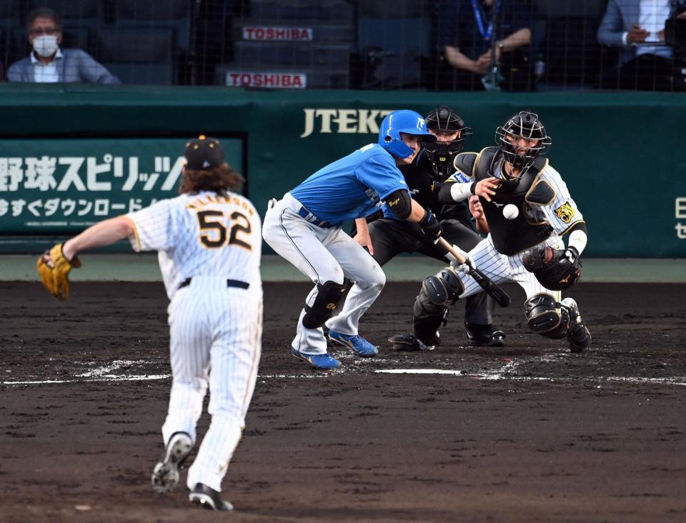 　３回、上川畑はスクイズを決める（撮影・山口登）