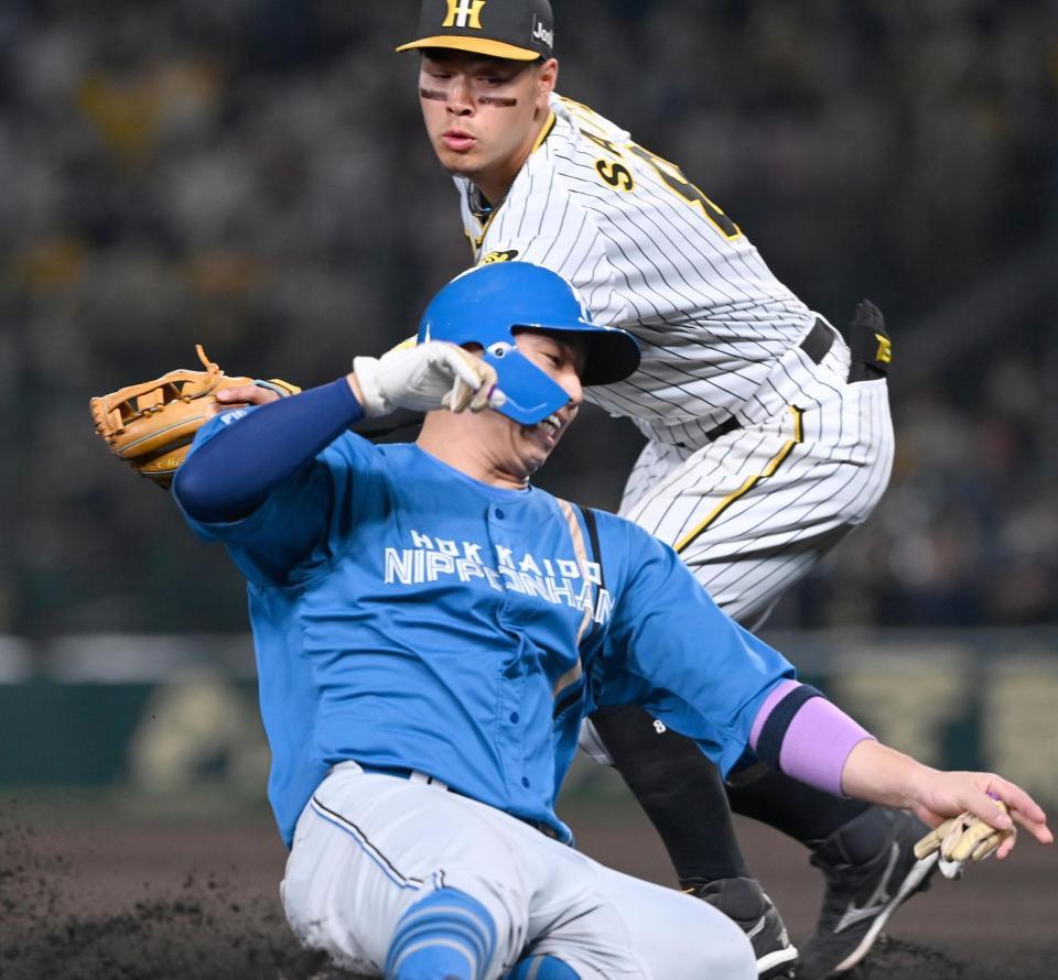 　６回、上沢の遊ゴロで三塁を狙った二走の宇佐見にタッチする佐藤輝（撮影・飯室逸平）