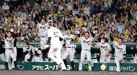 　８回、島田（５３）が押し出し四球を選び、勝ち越しに歓喜する阪神ナイン（撮影・飯室逸平）