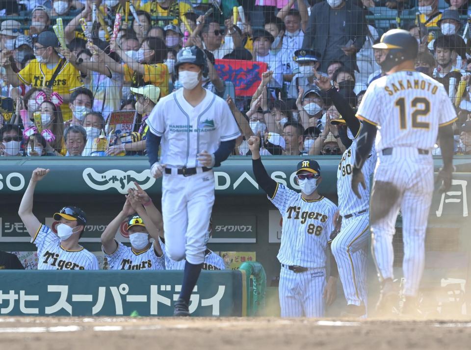 　５回、中野の適時打にガッツポーズを決める矢野監督ら（撮影・高部洋祐）