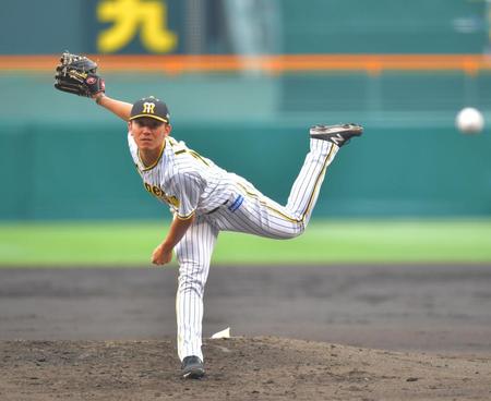 　熱投する伊藤将（撮影・吉澤敬太）