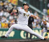 　先発し、力強いボールを投げ込む伊藤将（撮影・田中太一）