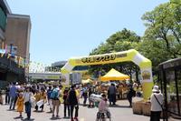ビアフェスタ（球団提供）