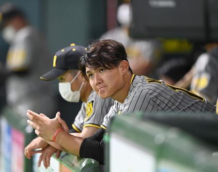 ベンチから戦況を見守る西純（撮影・飯室逸平）