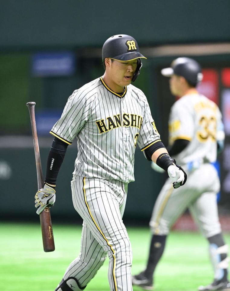 ８回、空振り三振に倒れ、ベンチへ戻る大山（撮影・飯室逸平）