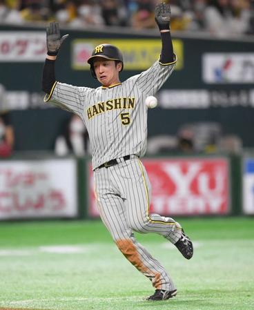 　（右から）４回、近本は糸原の安打で本塁を狙うもアウトになる＝撮影・田中太一