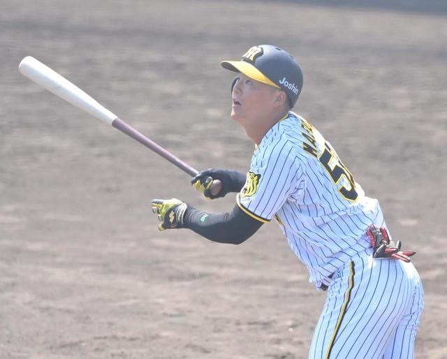 有名ブランド 2022年阪神タイガース前川選手 応援グッズ - www ...