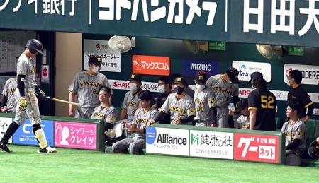 　完封で敗れ、グラウンドを見つめる阪神ナイン（撮影・山口登）