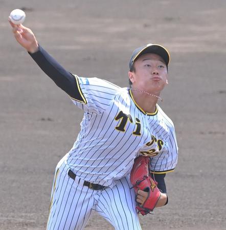 力投する森木（撮影・高部洋祐）