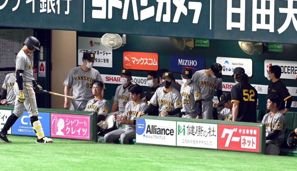 　完封で敗れ、グラウンドを見つめる阪神ナイン（撮影・山口登）