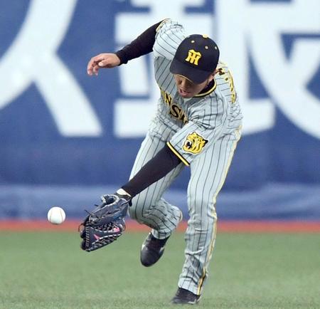 　１回、福田の打球を失策する島田（撮影・田中太一）