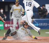 　８回、同点の本塁を踏む佐藤輝（撮影・田中太一）