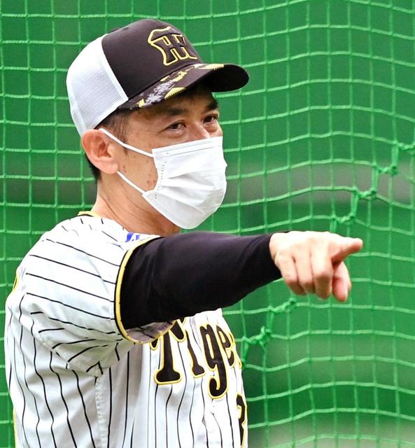 阪神 新監督問題 封印 谷本オーナー代行 シーズン終わるまで言わない 阪神タイガース デイリースポーツ Online