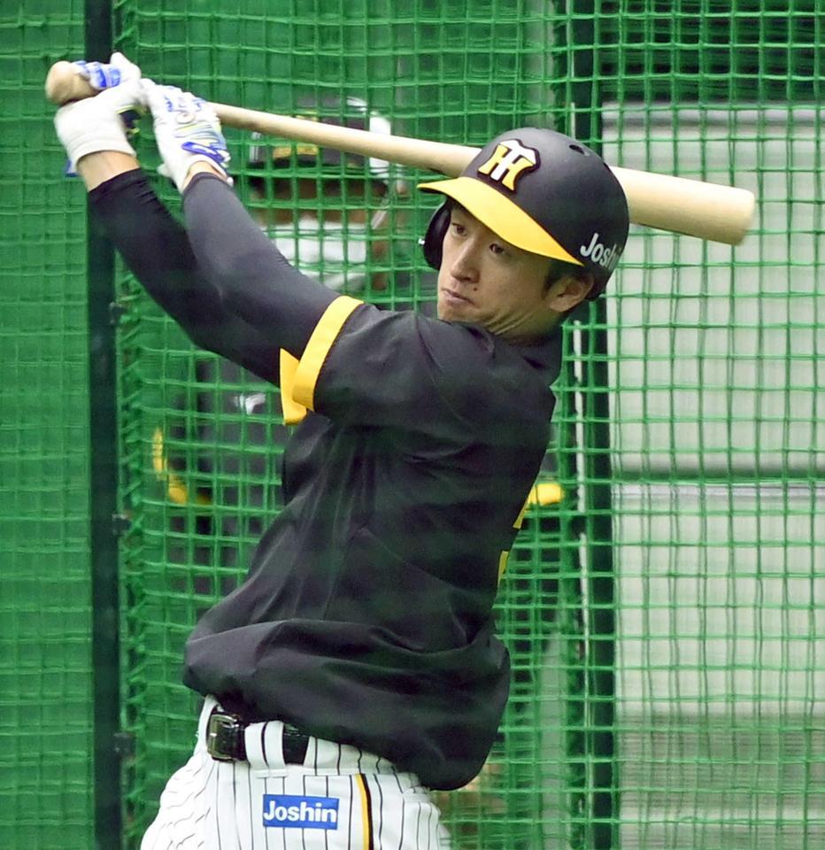 　打撃練習をする近本