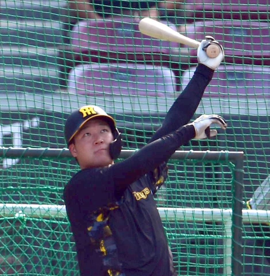 　打撃練習する大山（撮影・山口登）