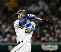 　８回、梅野は左前に勝ち越し２点適時打を放つ（撮影・山口登）