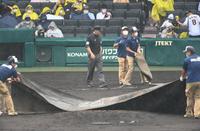 　２回、阪神の攻撃前に雨が強くなり中断となる（撮影・田中太一）