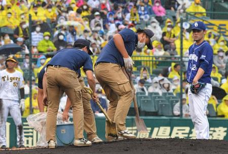 ２５日の中日戦でマウンドの整備をする阪神園芸スタッフ