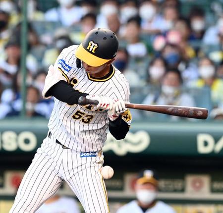 　１１回、島田は死球を受ける（撮影・山口登）