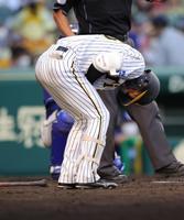 　延長１１回、島田は死球を受け痛がる（撮影・坂部計介）