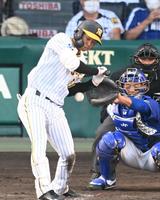 　延長１１回、死球を受ける島田（撮影・飯室逸平）