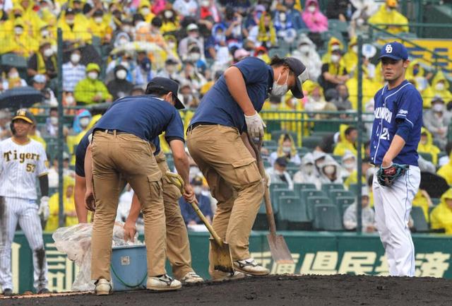 阪神園芸の“神整備”にＮＨＫが神対応　ファン要望のスロー再生でネット興奮「芸術」