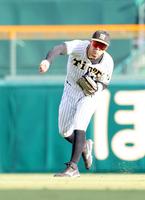 　延長１０回、石橋の打球を右翼手・佐藤輝が好返球する（撮影・坂部計介）