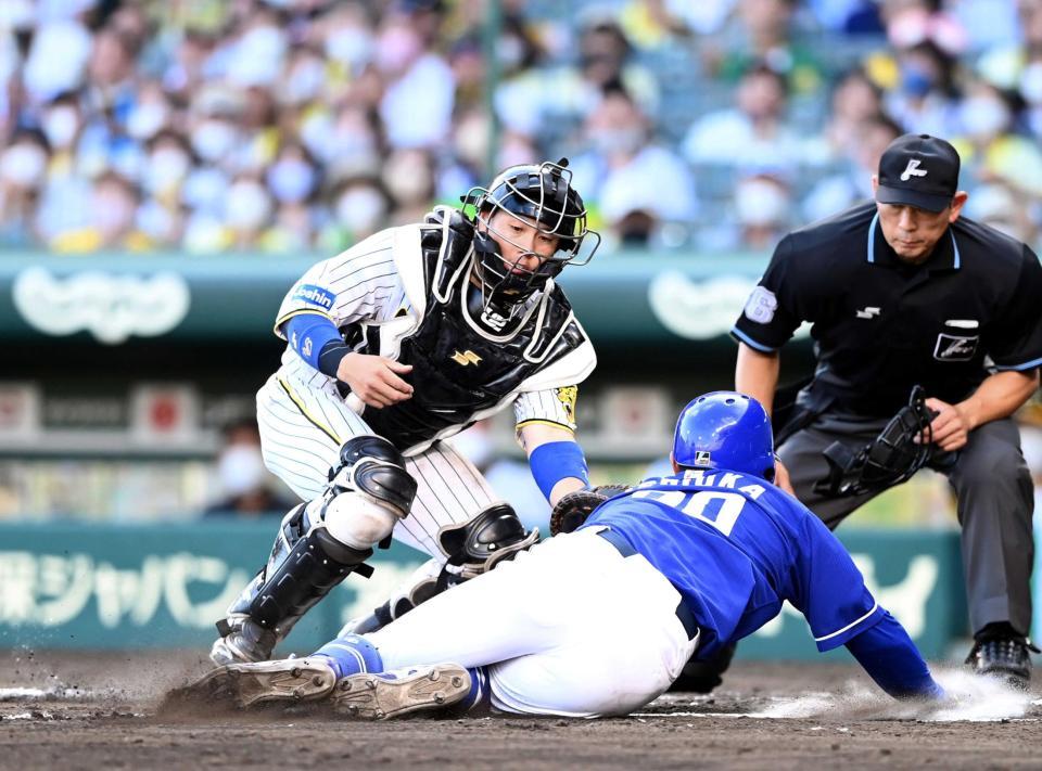 　二走・石岡は本塁を狙うもアウト。捕手・梅野（撮影・山口登）