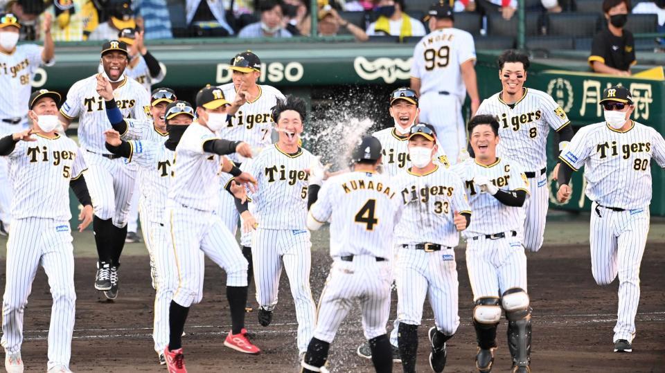 　サヨナラ勝ちに喜びを爆発させる阪神ナイン（撮影・飯室逸平）