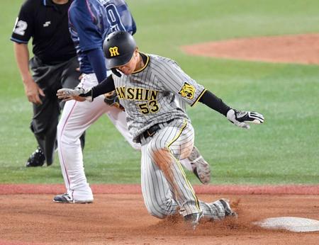 　７回、打者・近本の時に二盗を決める島田（撮影・佐々木彰尚）