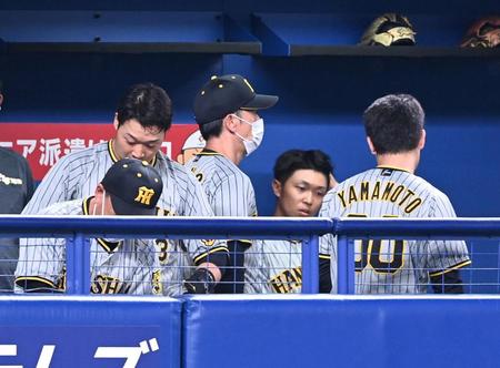 　敗戦を見届け、足早にベンチを後にする矢野監督（撮影・飯室逸平）