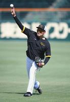 　キャッチボールをする秋山（撮影・石井剣太郎）