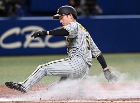 　８回、山本のスクイズで生還する三走・近本（撮影・飯室逸平）