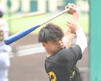 　試合前、打撃練習に励む井上（撮影・高部洋祐）