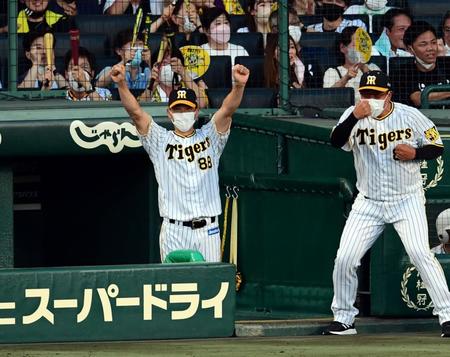 　４回、矢野監督は北條の同点適時打に両手を挙げ喜ぶ（撮影・山口登）