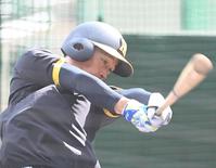 　打撃練習に励む近本（撮影・飯室逸平）
