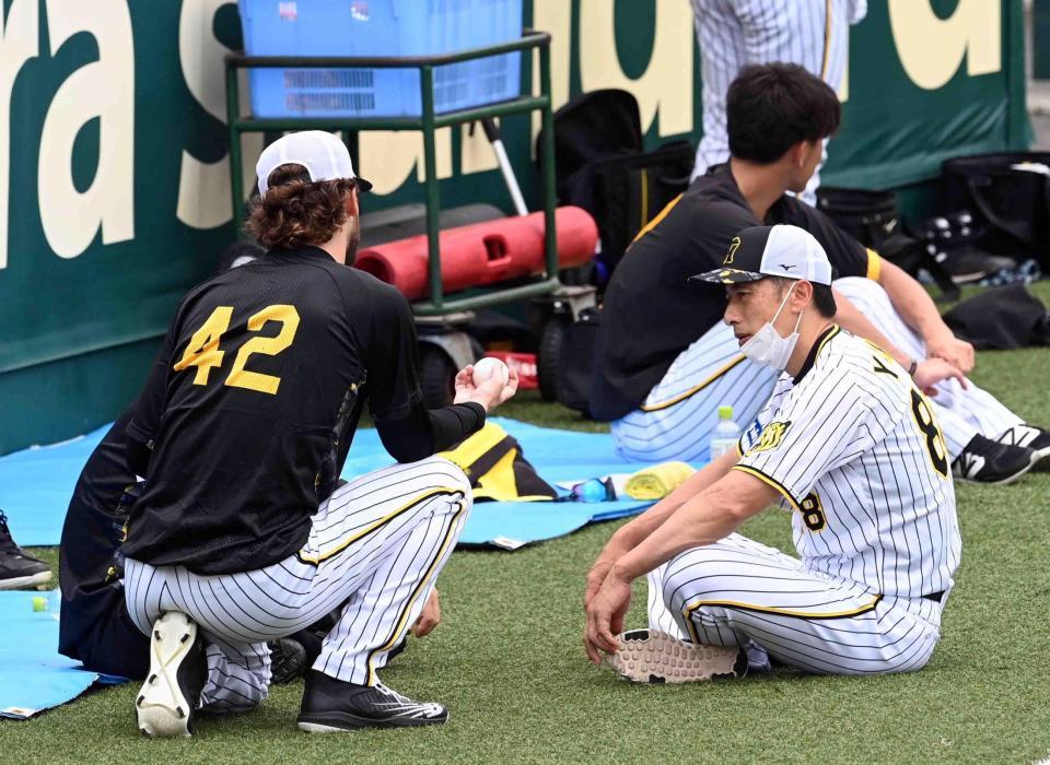 　矢野監督（右）はグラウンドに座りケラーと話をする（撮影・山口登）