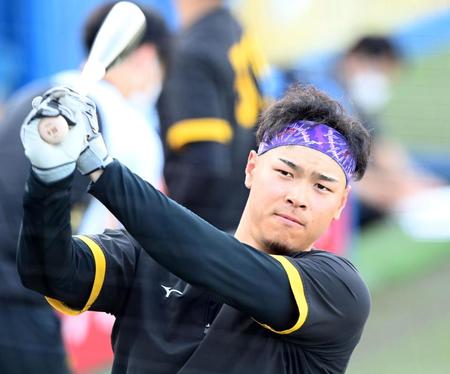 打撃練習する阪神・佐藤輝明＝神宮（撮影・飯室逸平）