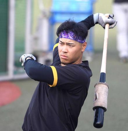 　打撃練習に励む佐藤輝（撮影・飯室逸平）