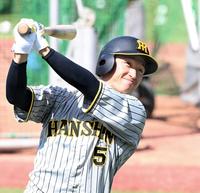 　打撃練習に汗を流す近本