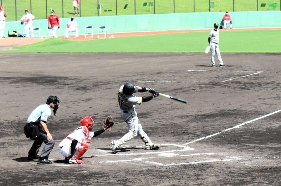 左翼席へ豪快な本塁打を叩き込むマルテ