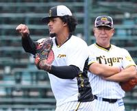 １軍に昇格し、ノックを受けるマルテ（撮影・田中太一）